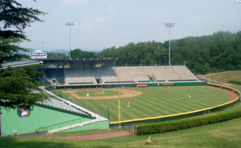 Little League World Series