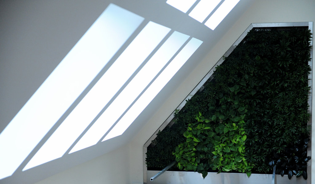 The living wall inside Hildreth-Mirza Hall at Bucknell University.